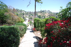 Enlarge photo 11