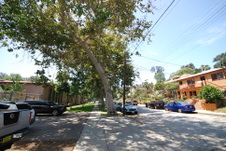 Enlarge photo 18