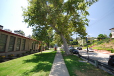 Enlarge photo 24