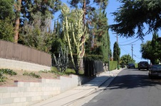 Enlarge photo 18