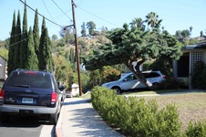 Enlarge photo 34