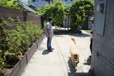 Enlarge photo 13