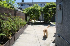 Enlarge photo 15