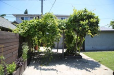 Enlarge photo 19