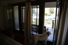 Enlarge photo 41
