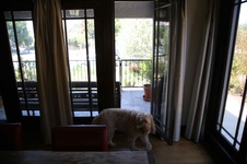 Enlarge photo 42