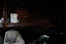 Enlarge photo 83