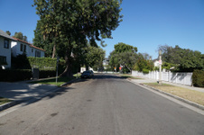 Enlarge photo 92
