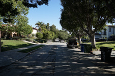 Enlarge photo 77