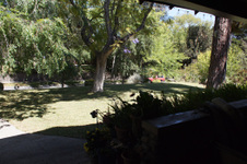 Enlarge photo 91