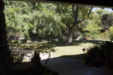 Enlarge photo 95