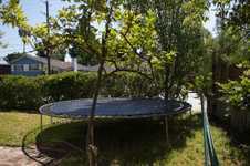 Enlarge photo 6