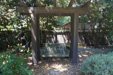 Enlarge photo 34