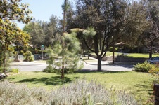 Enlarge photo 44