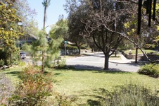 Enlarge photo 45