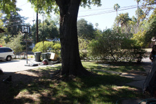 Enlarge photo 48