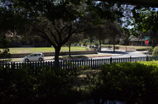 Enlarge photo 80