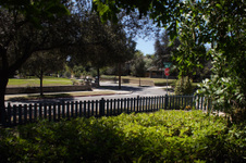Enlarge photo 82