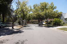Enlarge photo 67