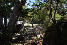 Enlarge photo 76