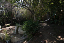 Enlarge photo 35