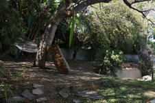 Enlarge photo 44
