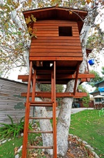 Enlarge photo 73