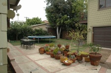 Enlarge photo 48