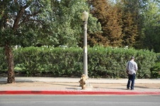Enlarge photo 11