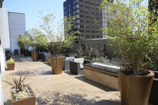 Enlarge photo 30