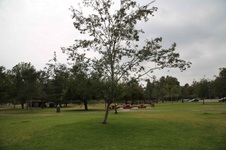Enlarge photo 9