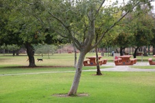 Enlarge photo 10