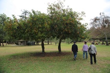 Enlarge photo 14