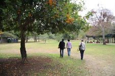 Enlarge photo 15