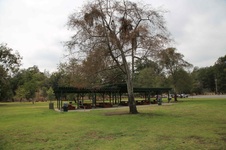 Enlarge photo 16