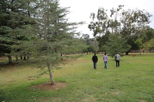 Enlarge photo 17
