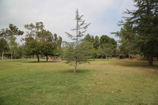 Enlarge photo 19