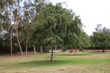 Enlarge photo 23