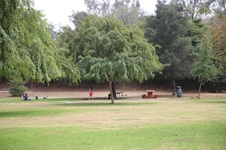 Enlarge photo 24