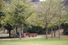 Enlarge photo 27