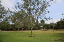 Enlarge photo 28