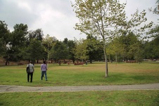 Enlarge photo 29