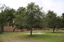 Enlarge photo 30