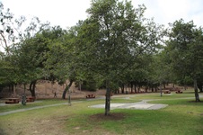 Enlarge photo 32