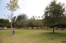 Enlarge photo 33