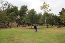 Enlarge photo 35
