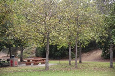 Enlarge photo 36