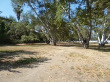 Herman Dog Park