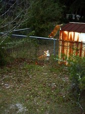 Enlarge photo 17