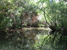 Enlarge photo 31